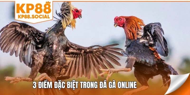 3-diem-dac-biet-trong-da-ga-online
