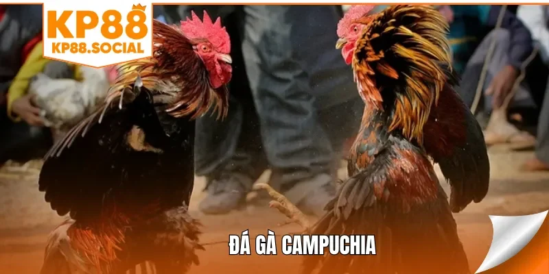 da-ga-campuchia