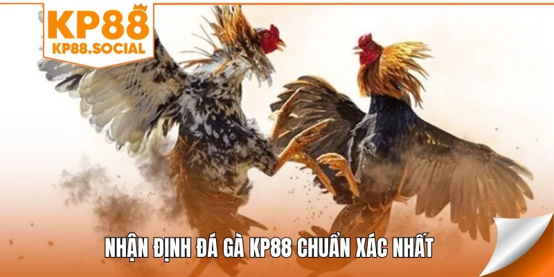 nhan-dinh-da-ga-kp88-chuan-xac-nhat